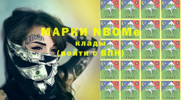 гашик Бородино