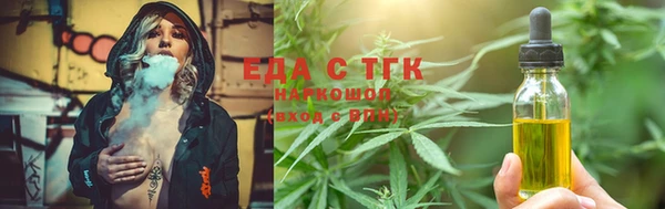 гашик Бородино