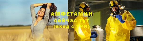 гашик Бородино