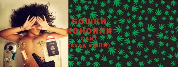 гашик Бородино
