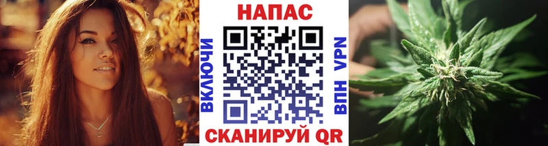 Бошки Шишки ГИДРОПОН  Кочубеевское 